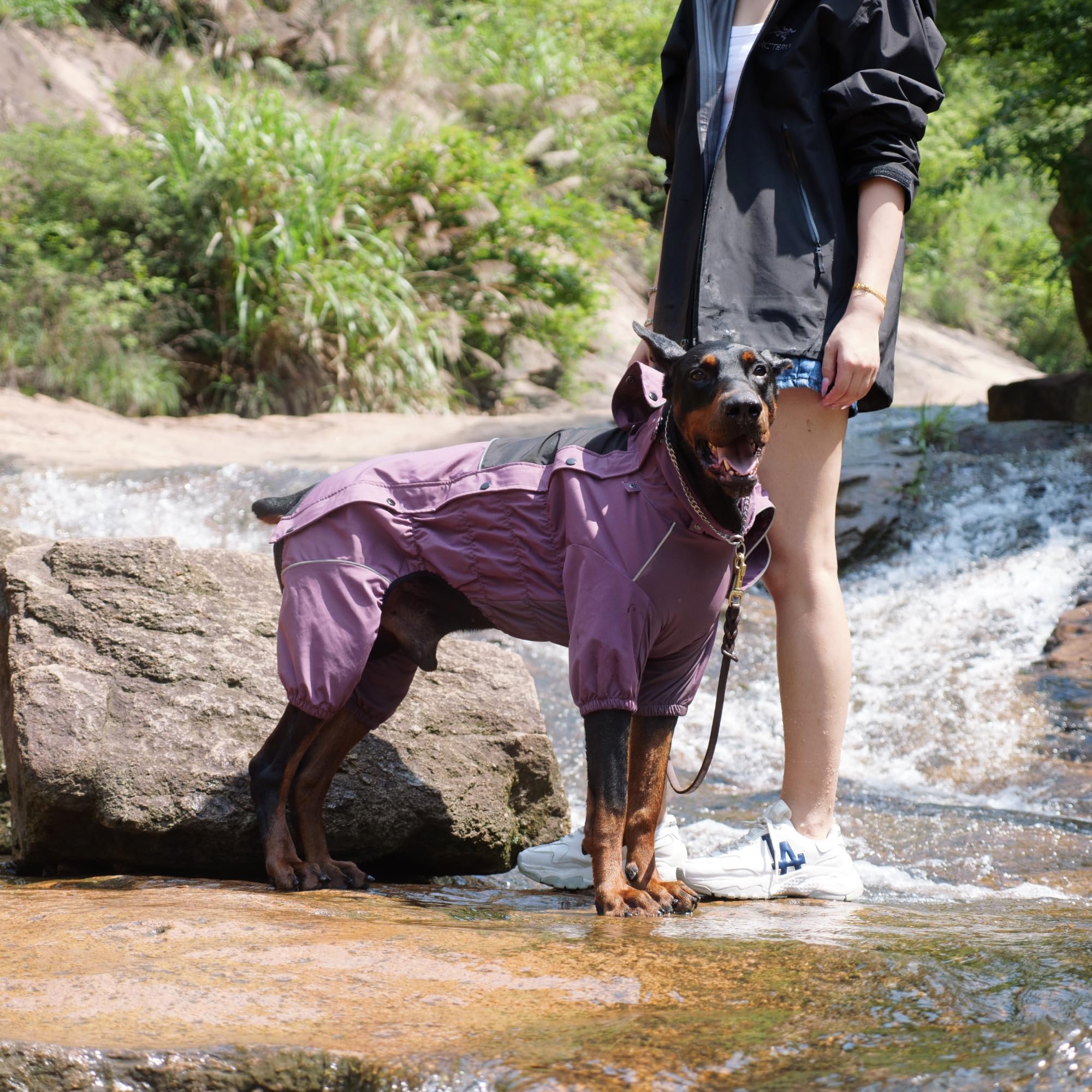 Lovelonglong protection pluie/neige chien en plein air pour activités outdoor en tout temps.