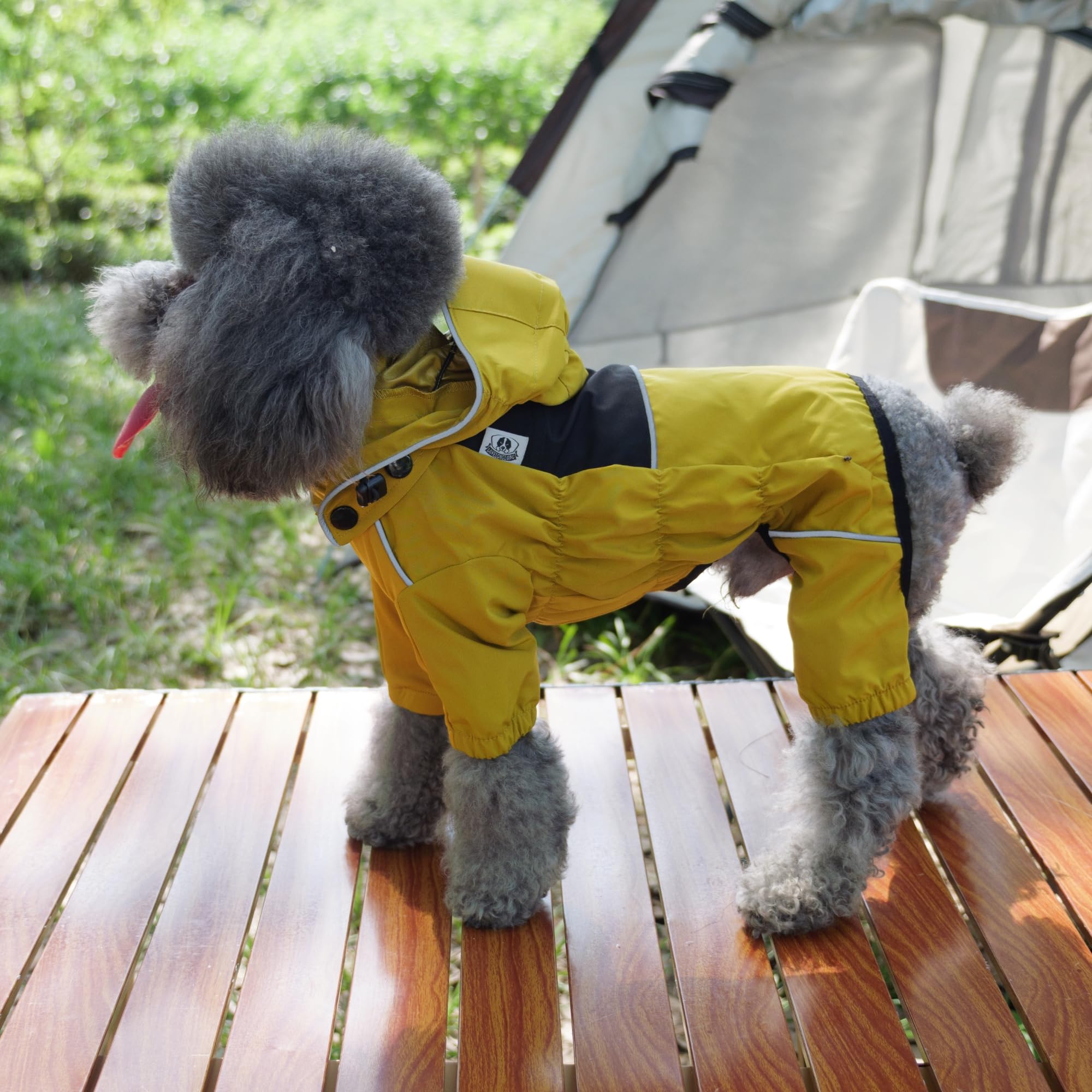 Lovelonglong protection contre pluie et neige chien, idéal pour sorties hivernales.
