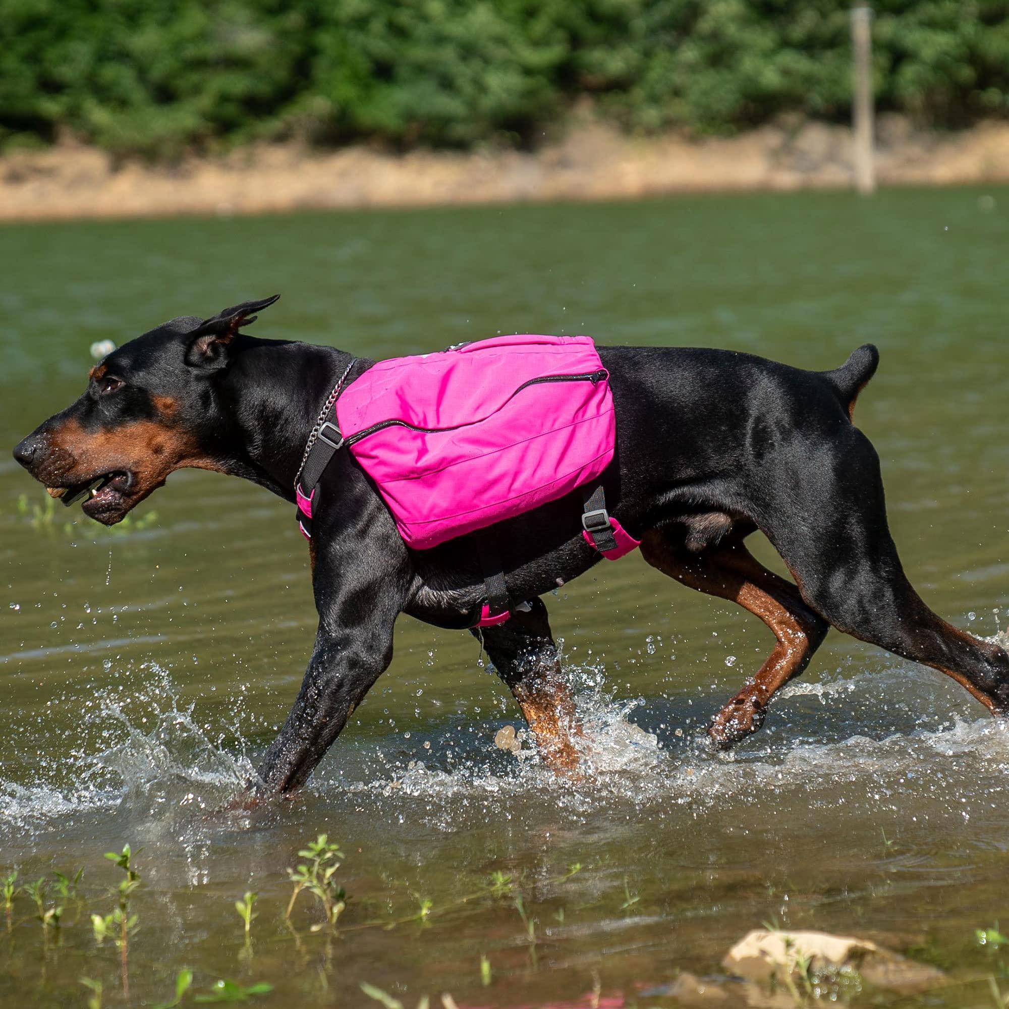 Lovelonglong sac dos chien randonnée — adapté à différentes morphologies canines.