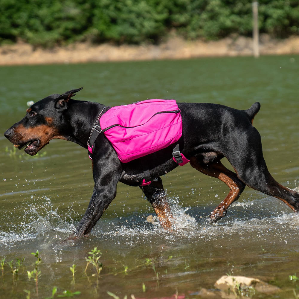 Lovelonglong sac dos chien randonnée — adapté à différentes morphologies canines.