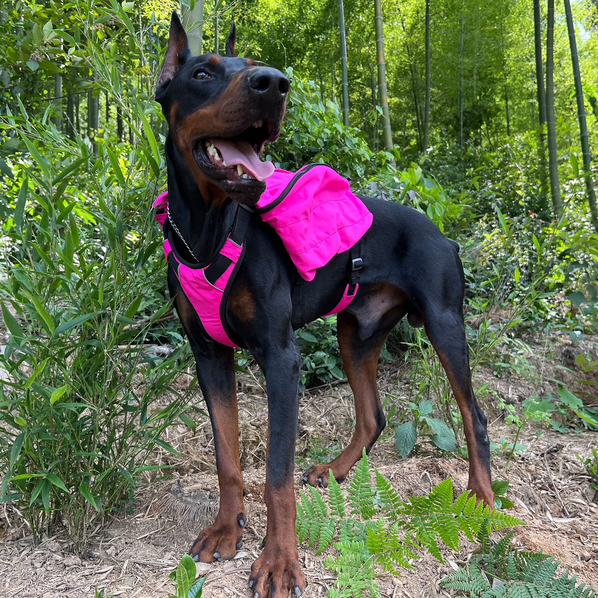 Lovelonglong sac dos chien randonnée — design léger pour les longues sorties.