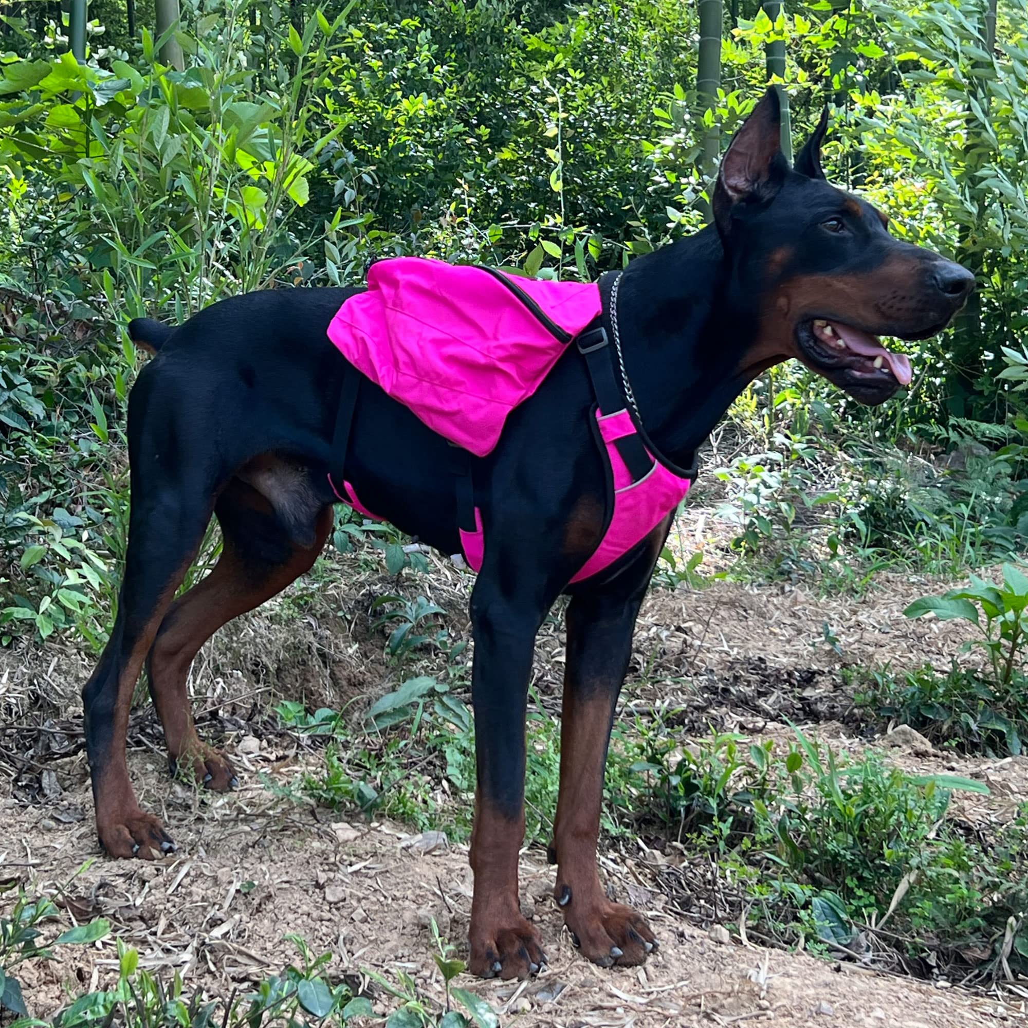 Lovelonglong sac dos chien randonnée — structure renforcée et coutures soignées.