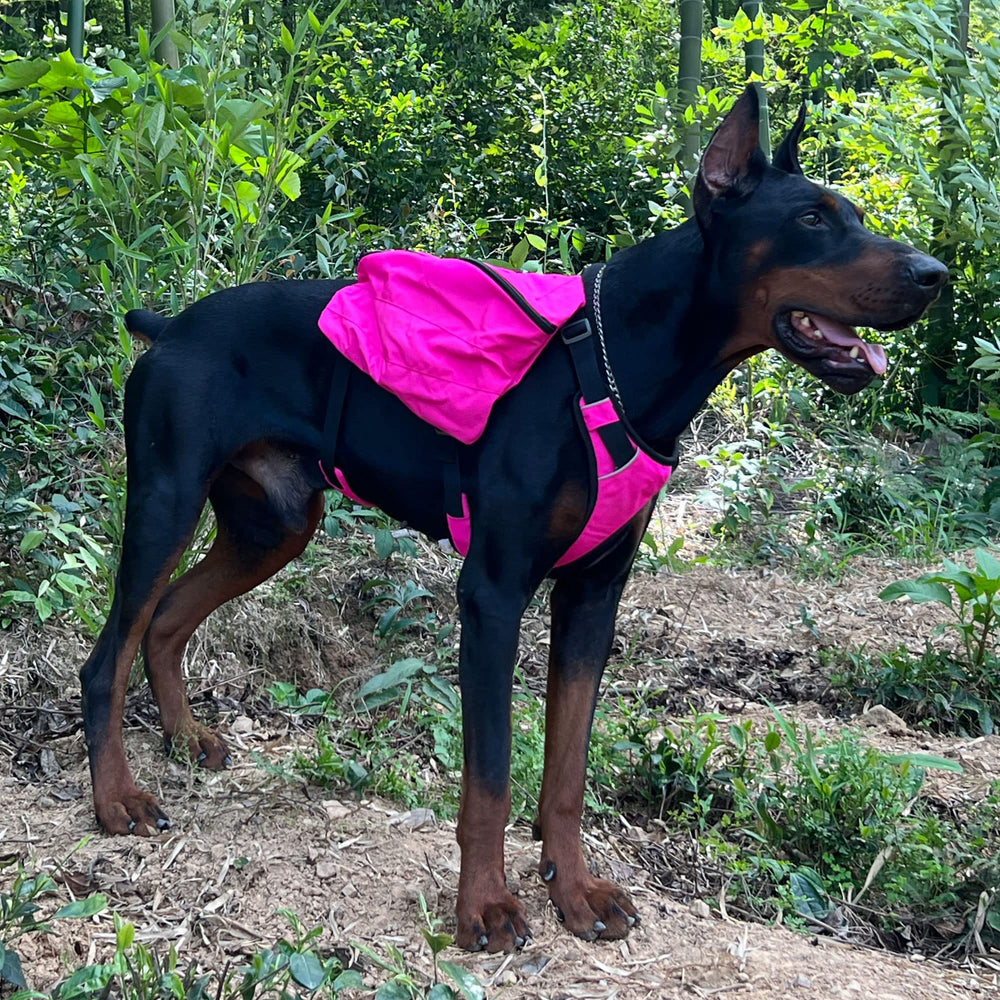 Lovelonglong sac dos chien randonnée — structure renforcée et coutures soignées.