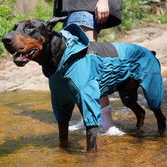 Lovelonglong veste-chien ajustement-poitrine-elastique, ajuste confortablement pour torse-profond.