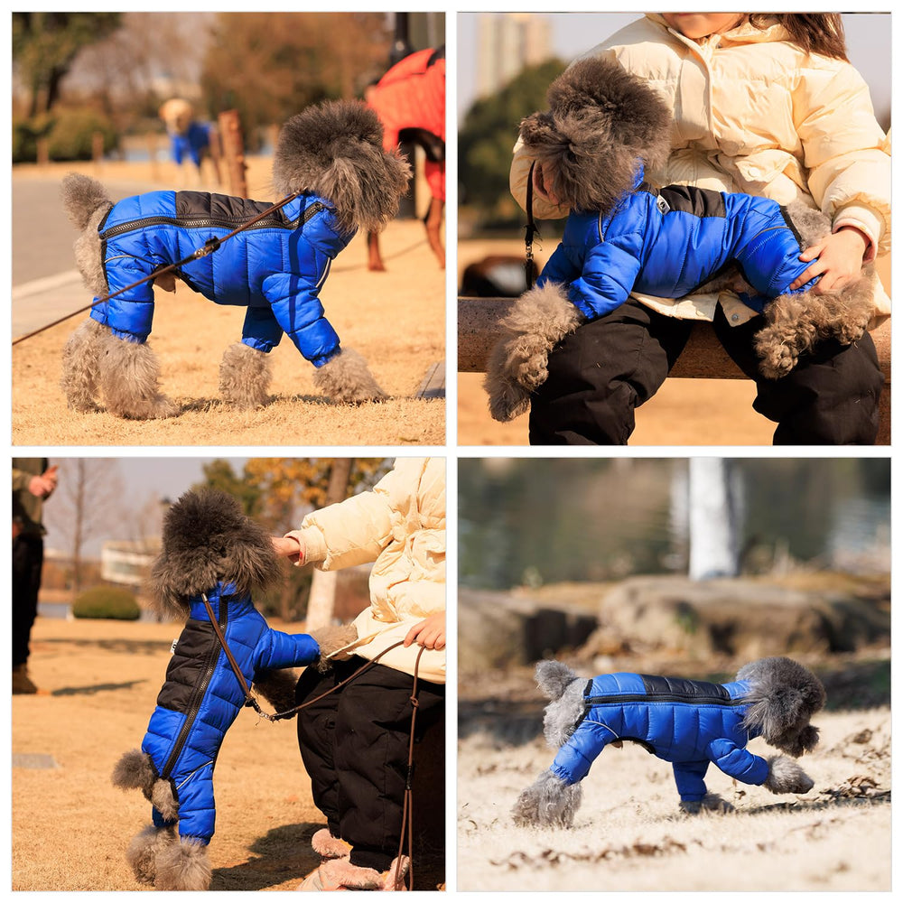 Lovelonglong veste chien bleu réflechissante pour sorties nocturnes.
