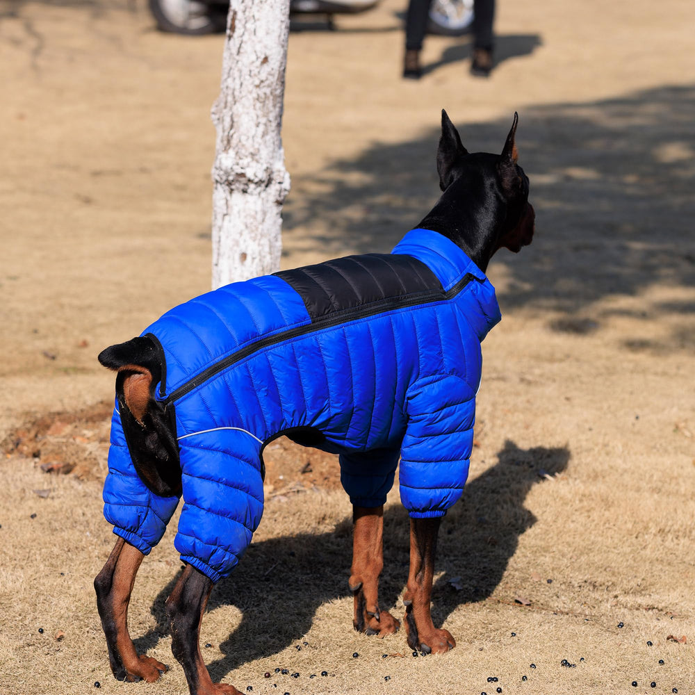 Lovelonglong veste chien bleu sangles ajustables poitrine et cou.