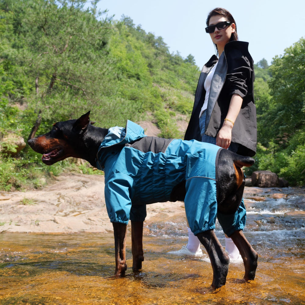 Lovelonglong veste-chien design-couvrant, enveloppe le corps pour plus de chaleur et propreté.