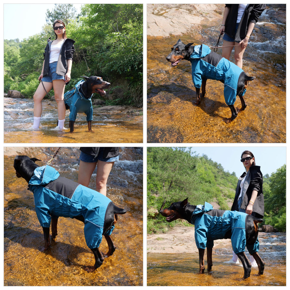 Lovelonglong veste-chien legere-et-durable, legere a porter et facile a entretenir apres les sorties.