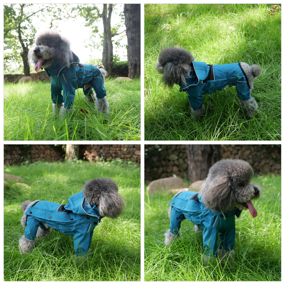 Lovelonglong veste-chien protection-vent-neige, adapte a sorties ventees et enneigees.