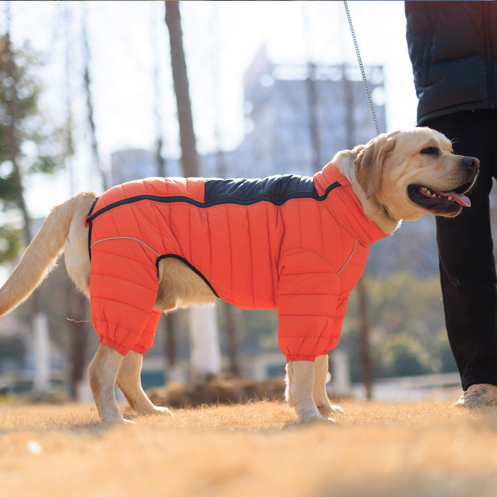 Lovelonglong Warm Jacket – Fermeture zippée pratique pour enfiler et retirer rapidement.