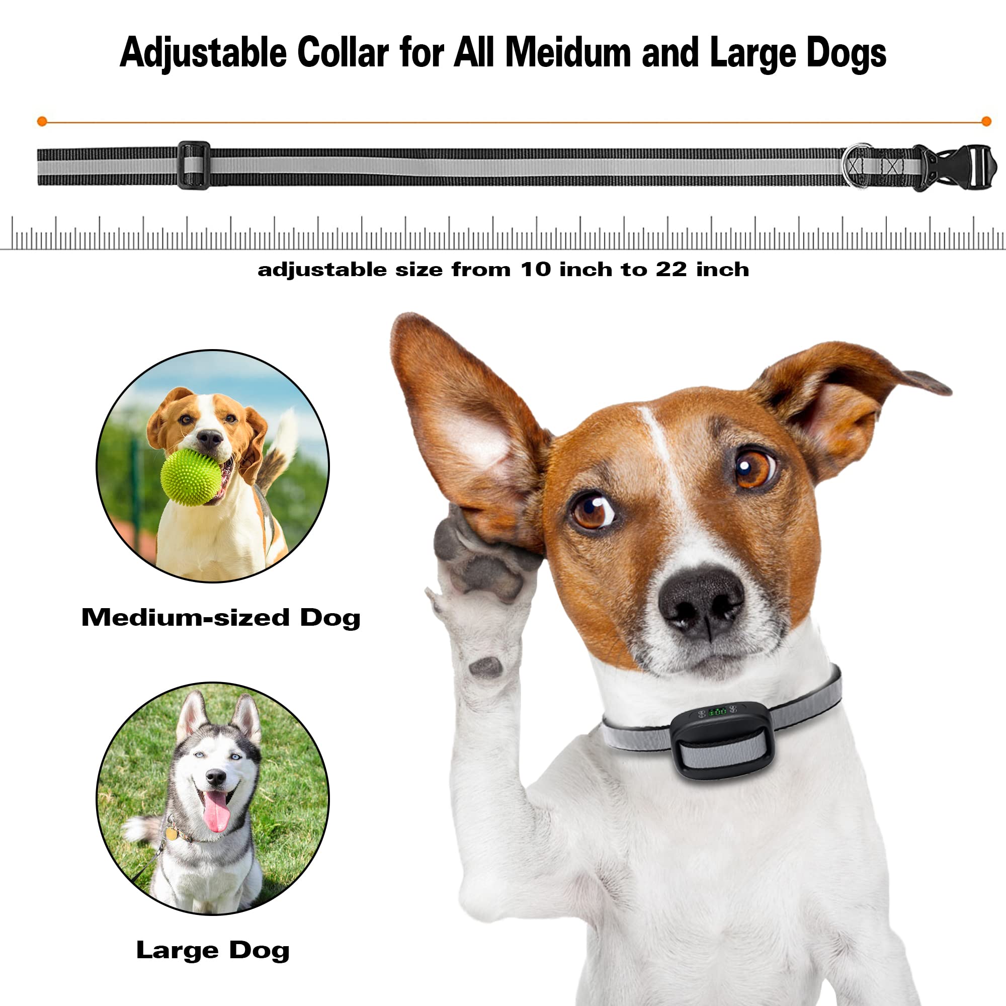 LovelyPez expérience extérieure pratique pour chiens de toutes tailles.