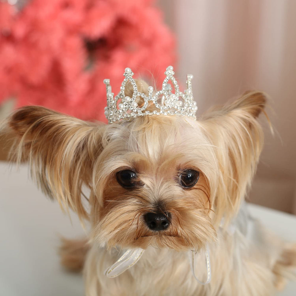 Lovelyshop Couronne royale argentée avec strass et perles pour chien ou chat, élégante.