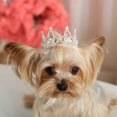 Lovelyshop Couronne royale argentée avec strass et perles pour chien ou chat, élégante.