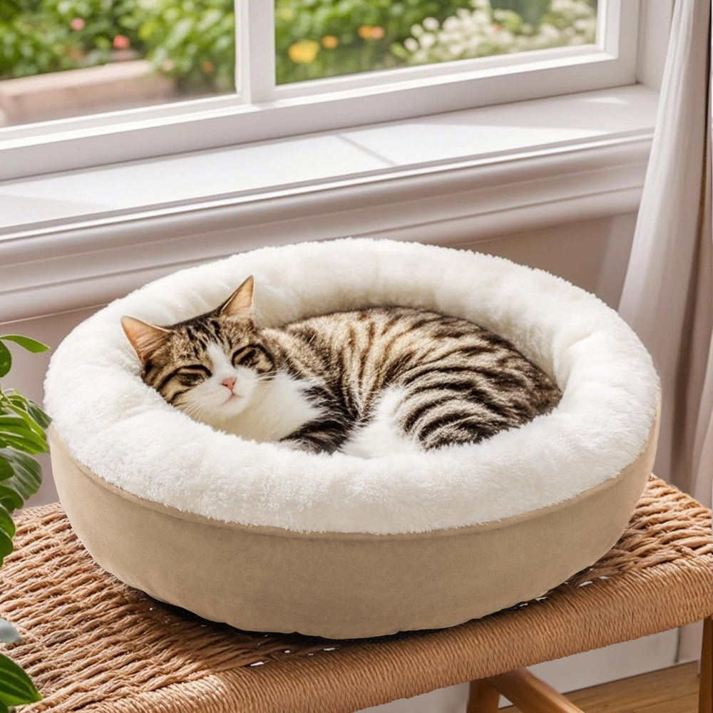 Love's cabin idéal pour chats et chiots jusqu'à 11 livres.