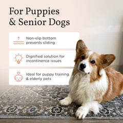 Lovewag Pets Tapis ultra absorbant retient les liquides rapidement.