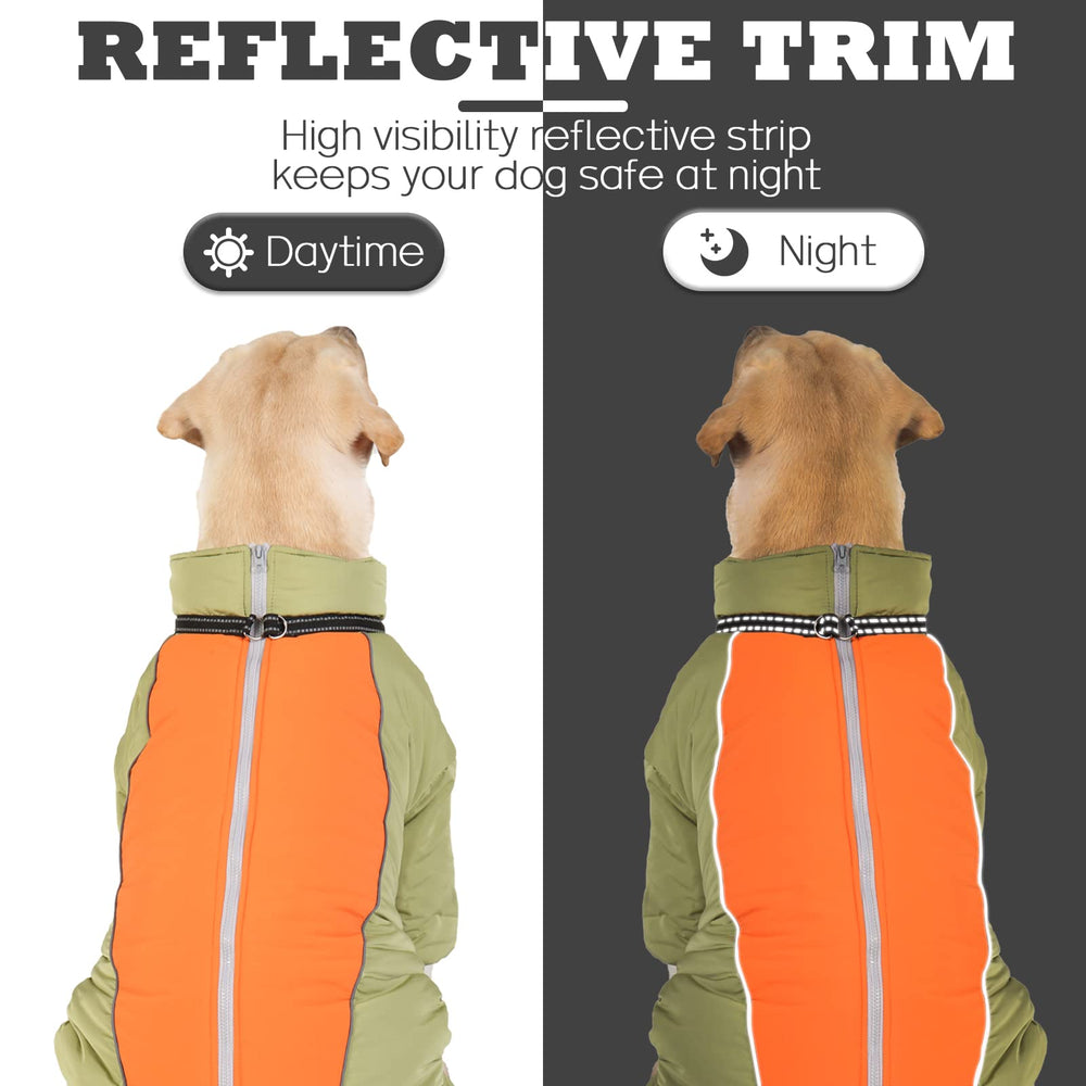 Deux anneaux en D pour laisse sur le manteau chien