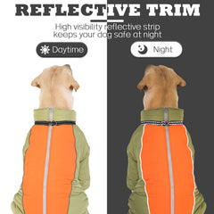 Deux anneaux en D pour laisse sur le manteau chien