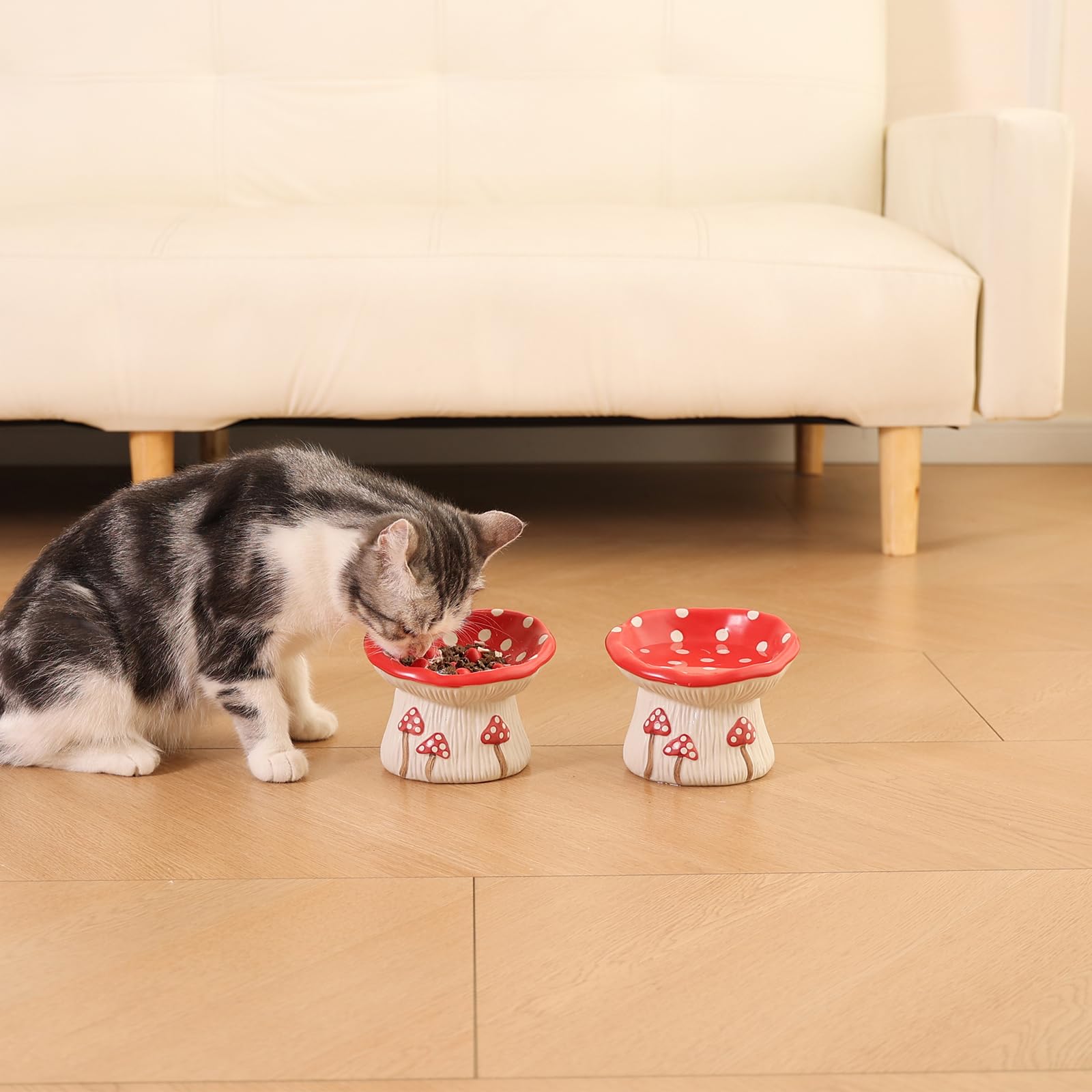 LOVINFURBABY bol design quotidien, facile à intégrer