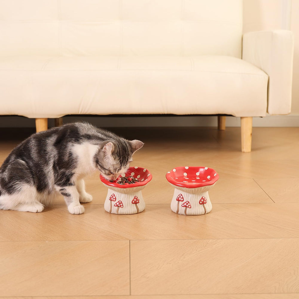 LOVINFURBABY bol design quotidien, facile à intégrer