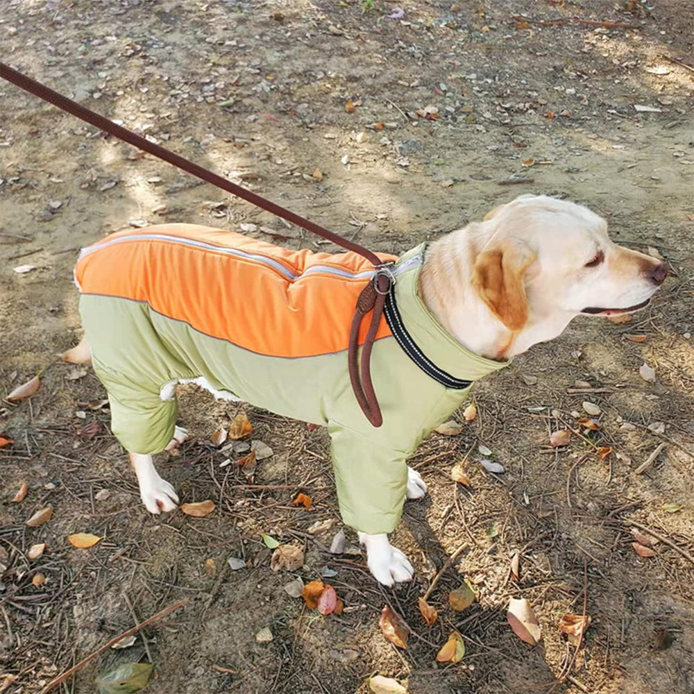 Guide des tailles avec 11 options pour chiens moyens et grands