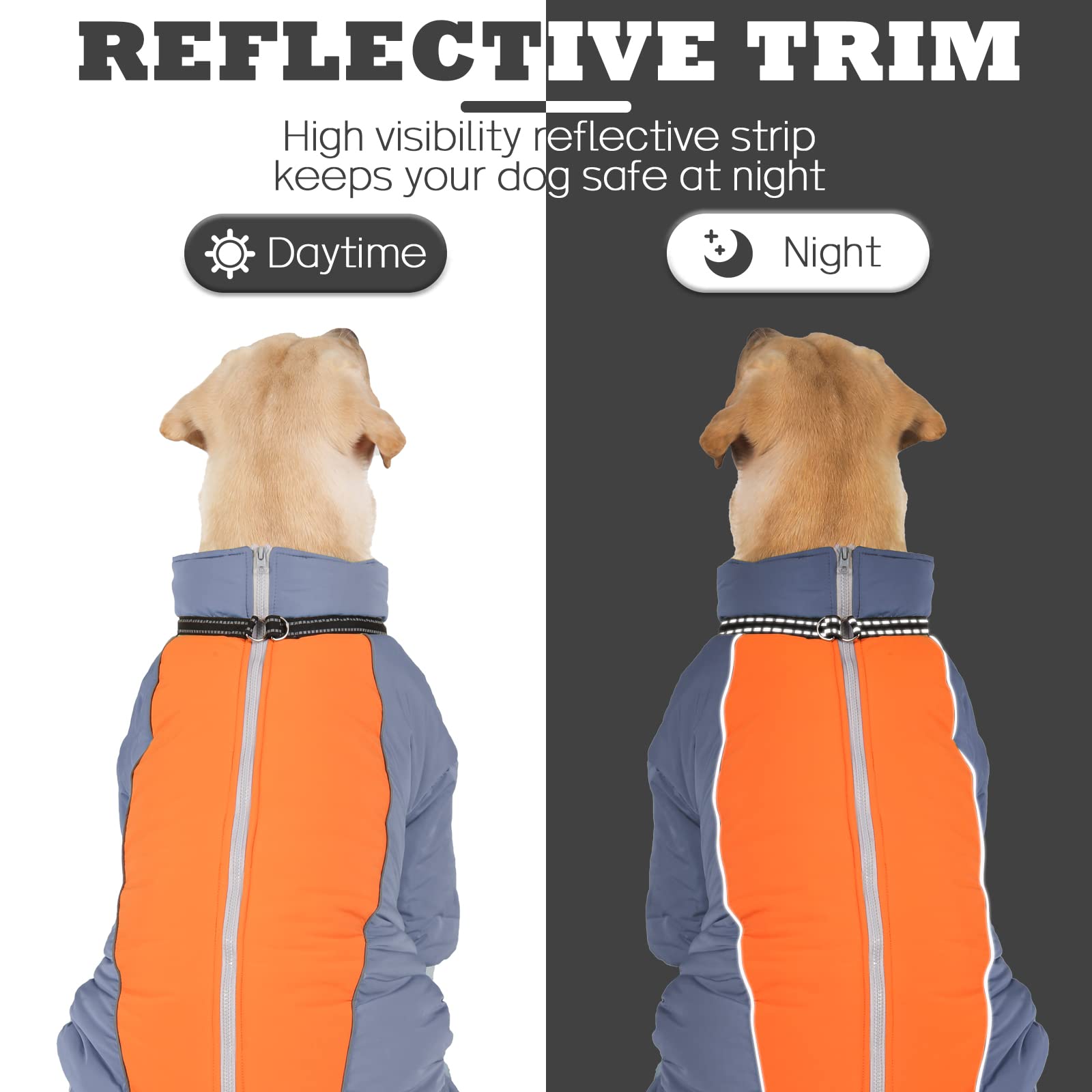 LOVINFURBABY habit neige chien anneaux doubles: attache laisse sûre sans harnais