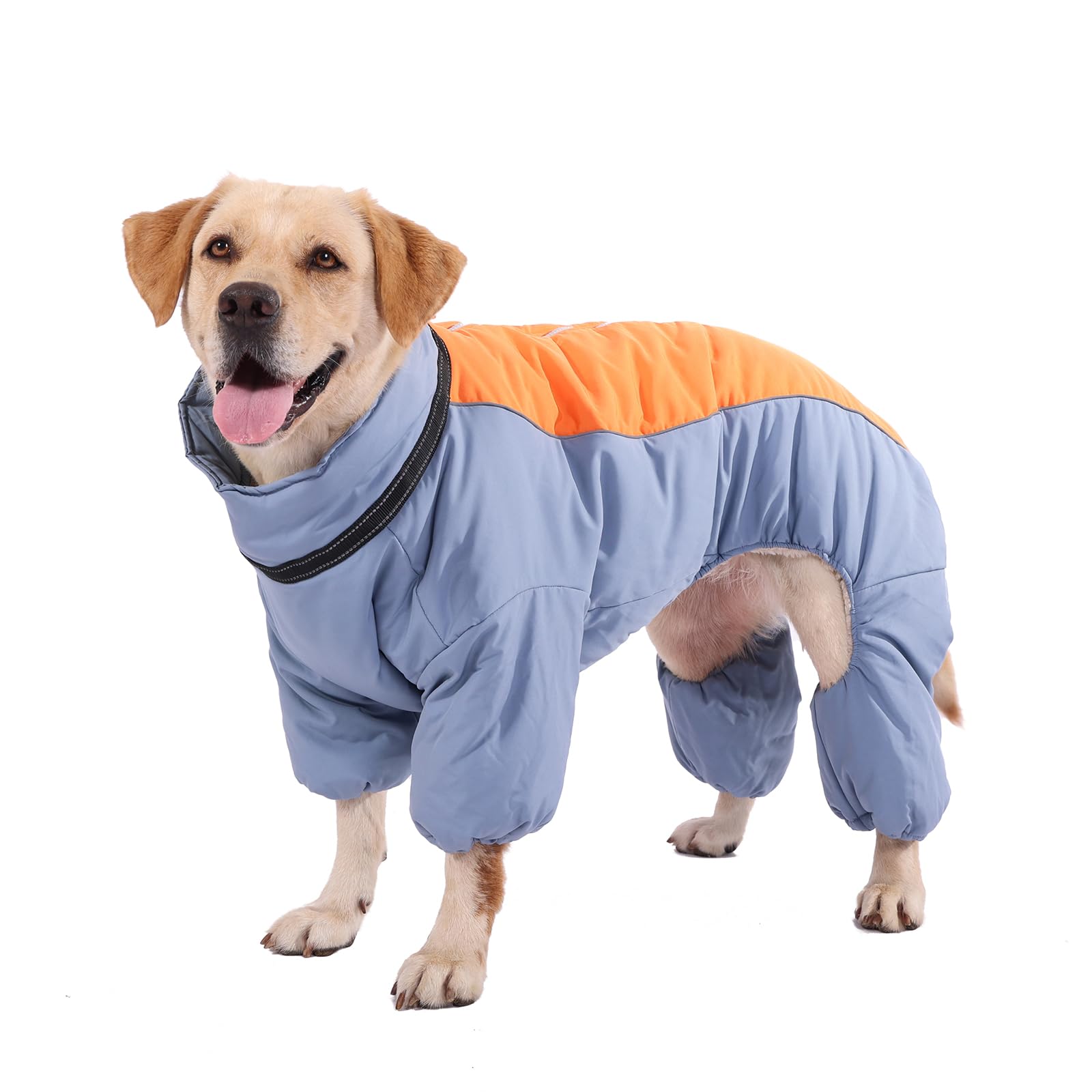 LOVINFURBABY habit neige chien dos: protection du dos lors des balades hivernales