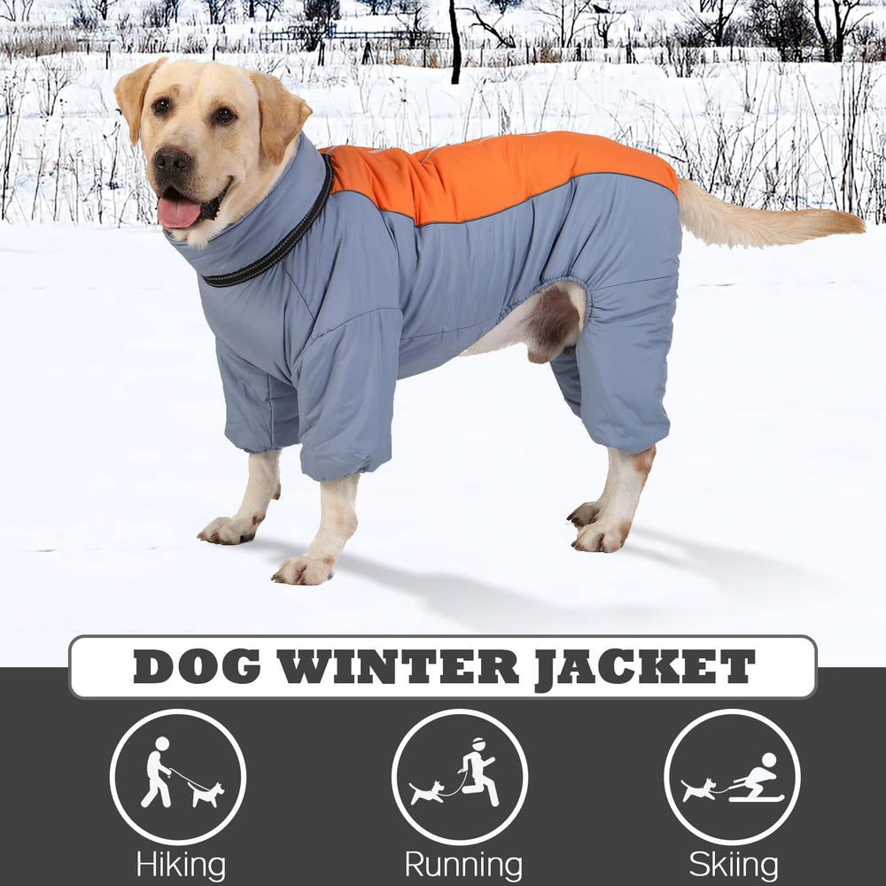 LOVINFURBABY habit neige chien rayures réfléchissantes: meilleure visibilité jour et nuit