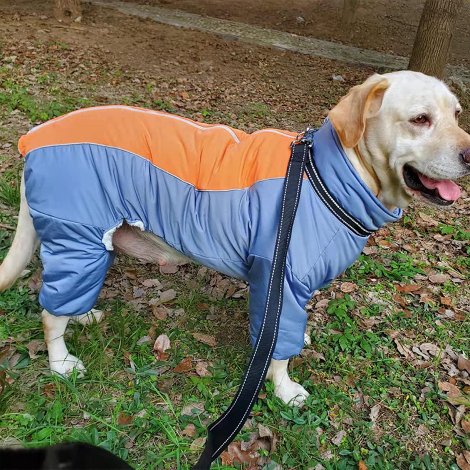 LOVINFURBABY HazeBlue harnais-compatible avec deux anneaux en D pour promenades sécurisées