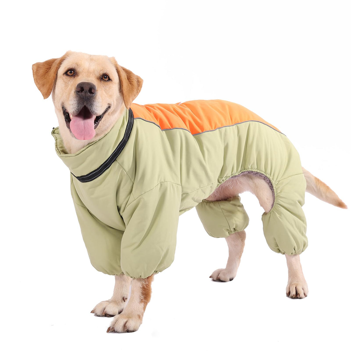 LOVINFURBABY manteau chien hiver 3 couches vert clair, isolation et protection contre le froid