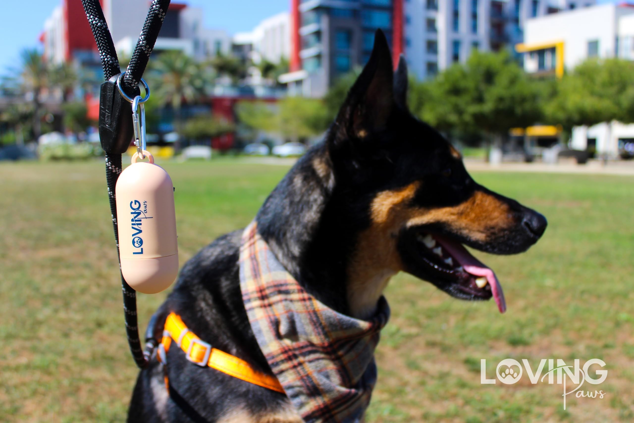 LOVING Paws sacs polyvalents 9x13 pouces pour déchets canins variés.