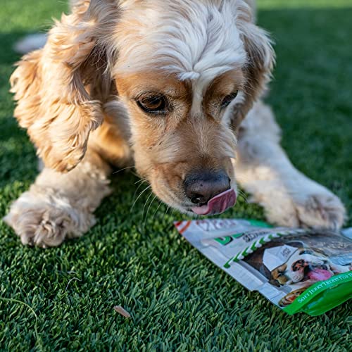 Toothsticks Loving Pets en action favorisant la mastication et le massage des gencives
