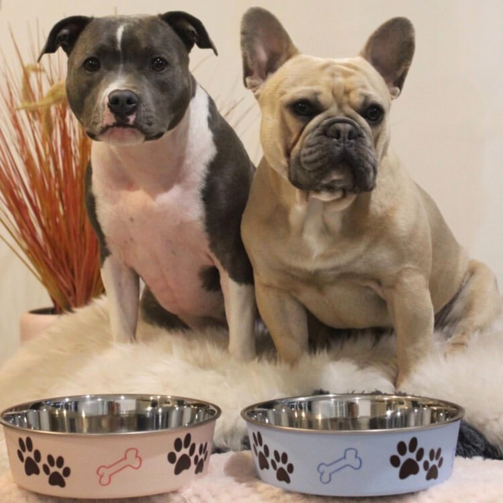 Loving Pets Bella bol design durable et décoratif pour la maison