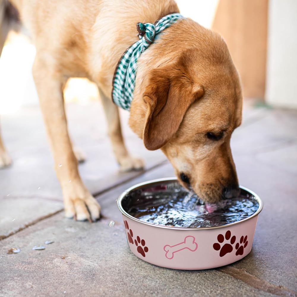 Loving Pets Bella Bowl compatible lave-vaisselle pour un nettoyage rapide.