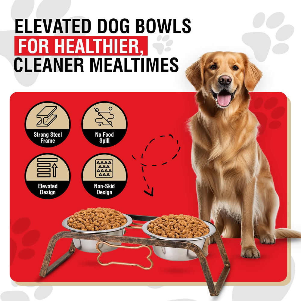 Loving Pets bols eleves en inox pour chiens moyens, stabilité et anti-glisse.