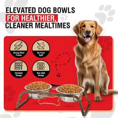 Loving Pets bols eleves en inox pour chiens moyens, stabilité et anti-glisse.