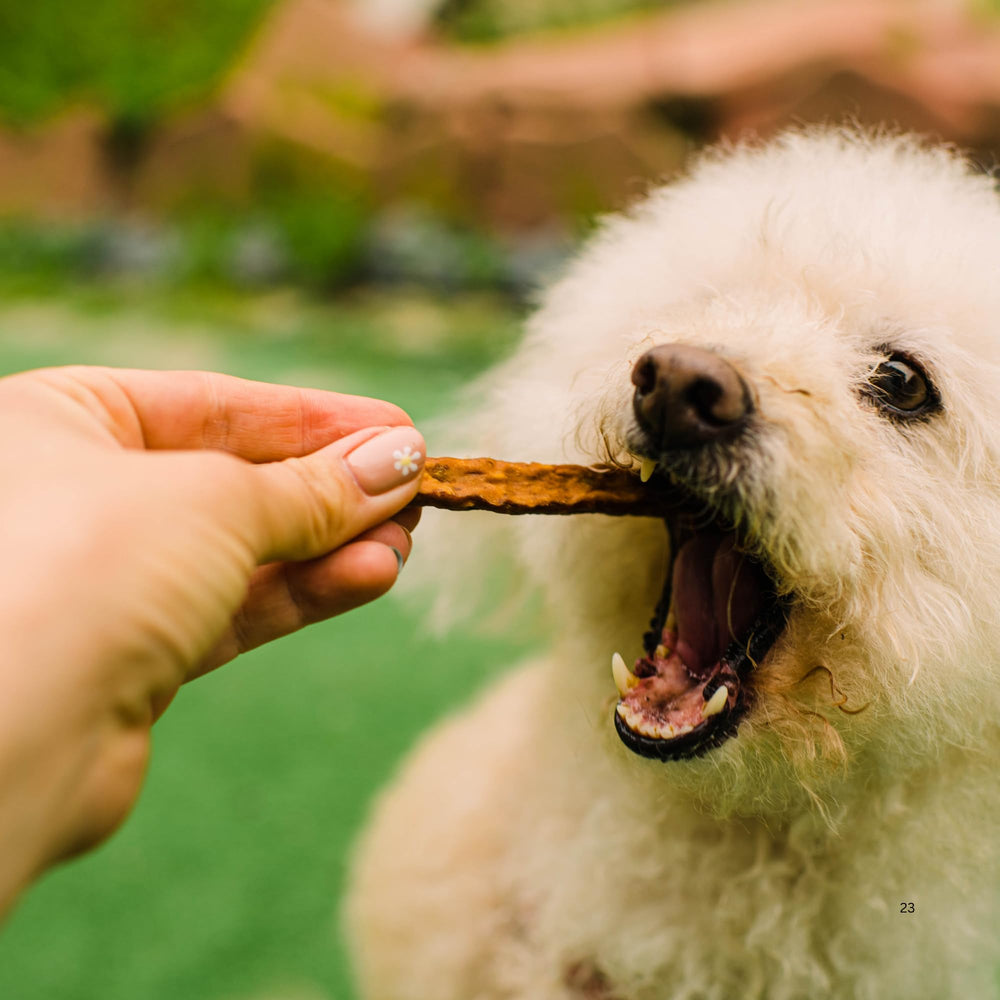 Loving Pets delice-petit-chien : texture douce appréciée par les chiots.