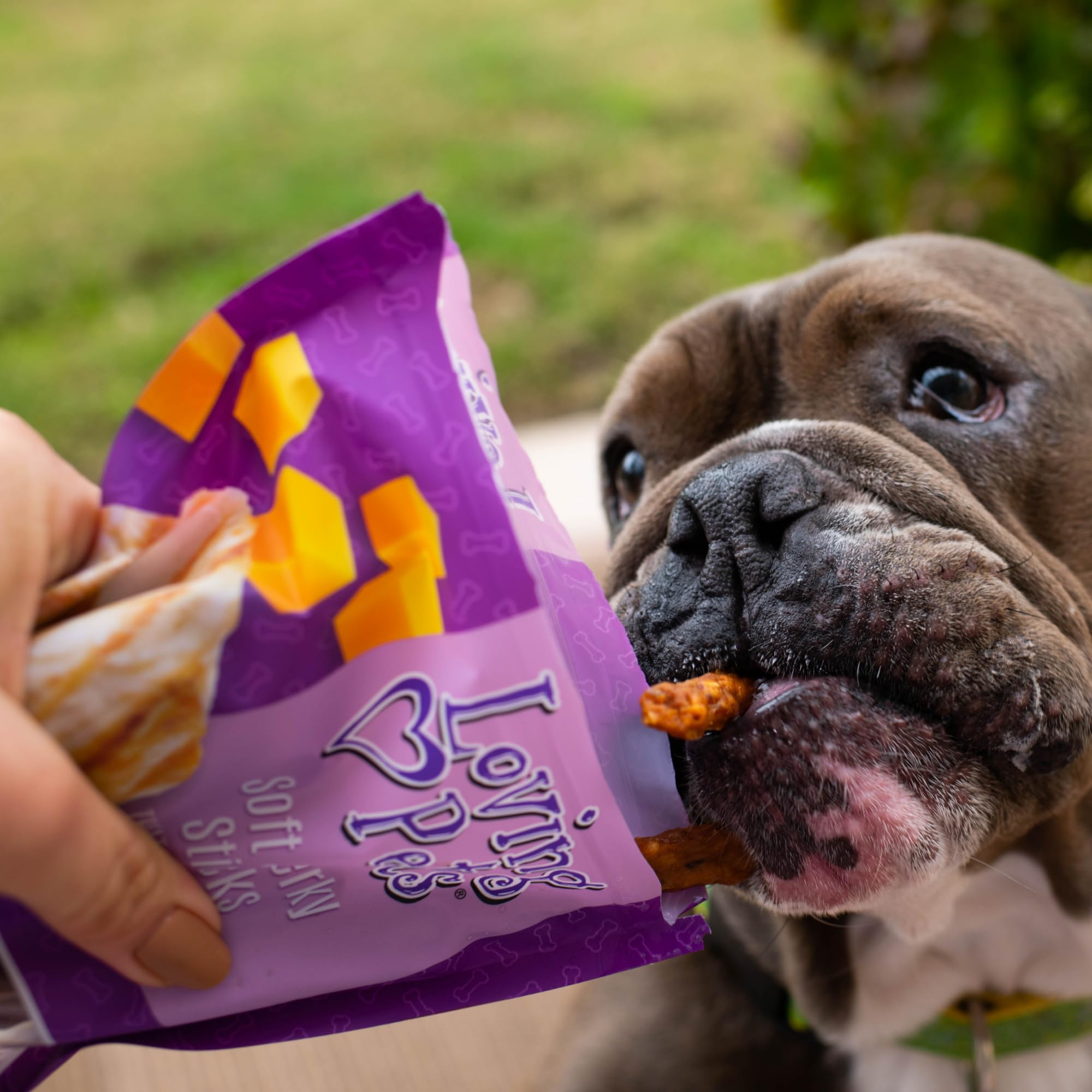 Loving Pets friandises tailles diverses, adaptées petites, moyennes et grandes races