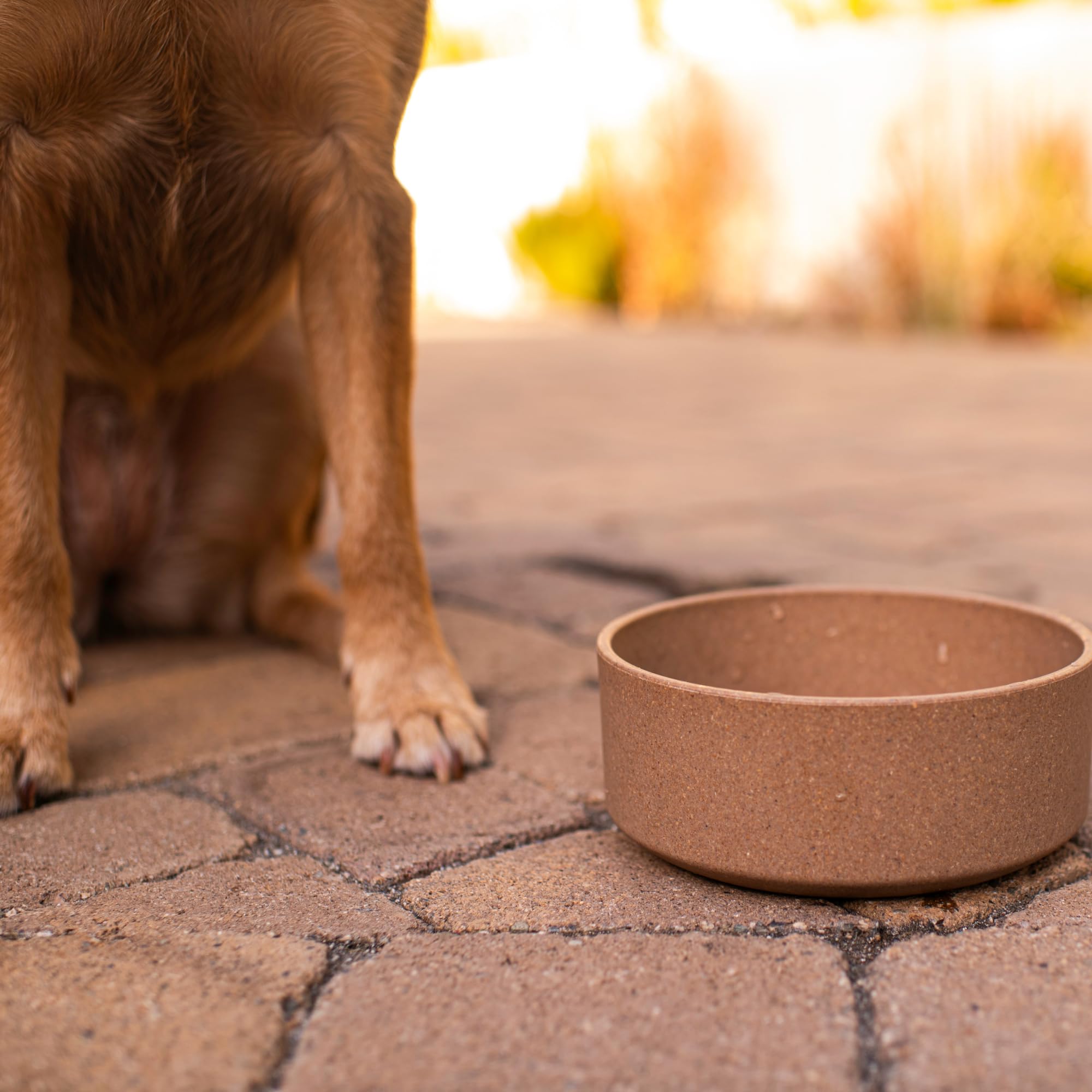 Loving Pets Dolce Bamboo bol couleur beige avoine, neutre et discret.