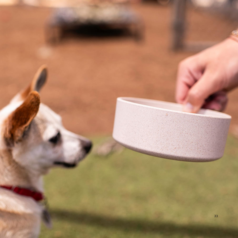 Lave-vaisselle compatible Dolce Bamboo Loving Pets, nettoyage facile.