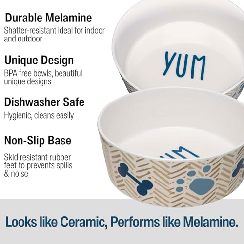 Loving Pets Dolce Moderno, design chevron tan bleu, touche moderne sur la table.