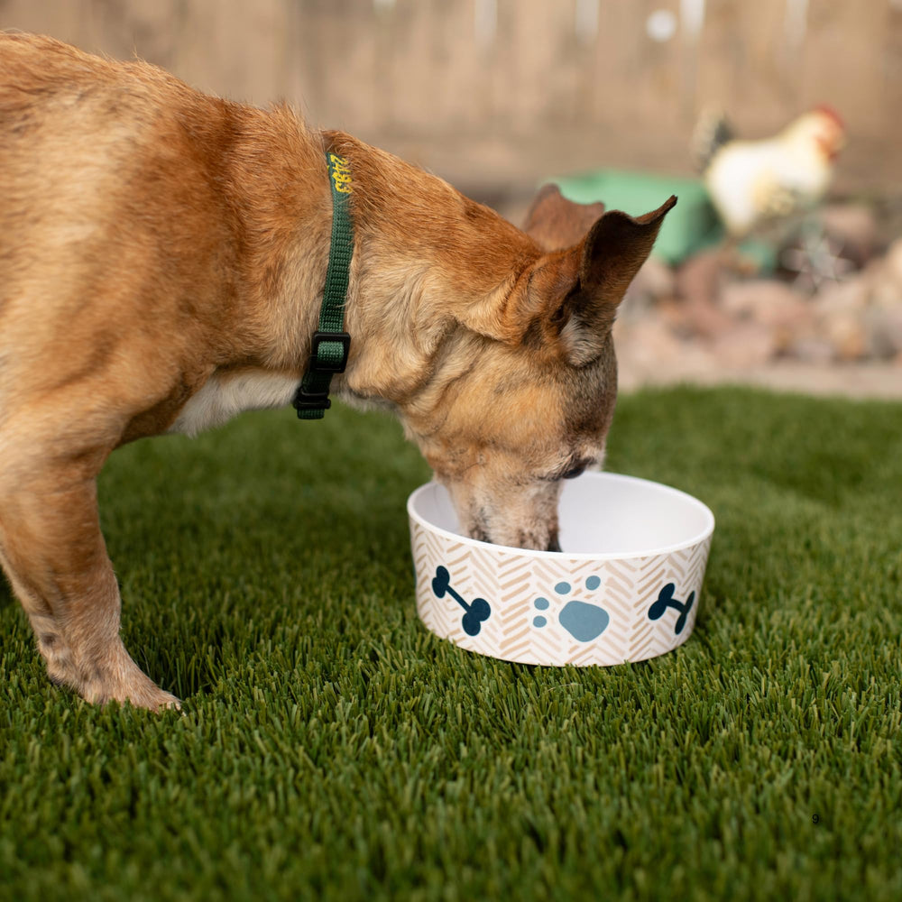 Loving Pets Dolce Moderno, nettoyage quotidien rapide et facile.