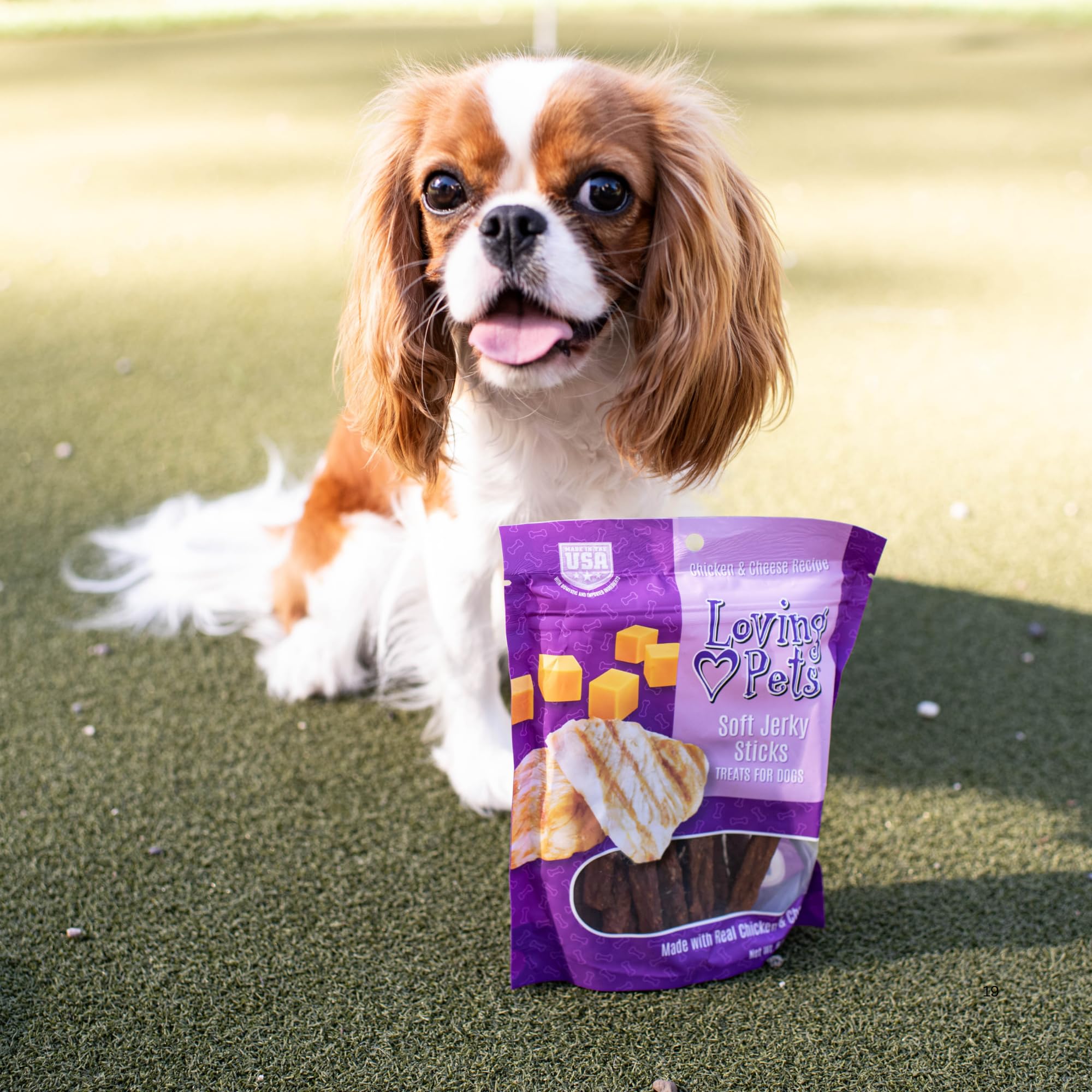 Loving Pets ingrédients limités, snack simple et clair pour chiens