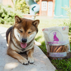 Loving Pets Natural Value Canard Bâton - digestibilité facilitée, soutien potentiel pour les repas.