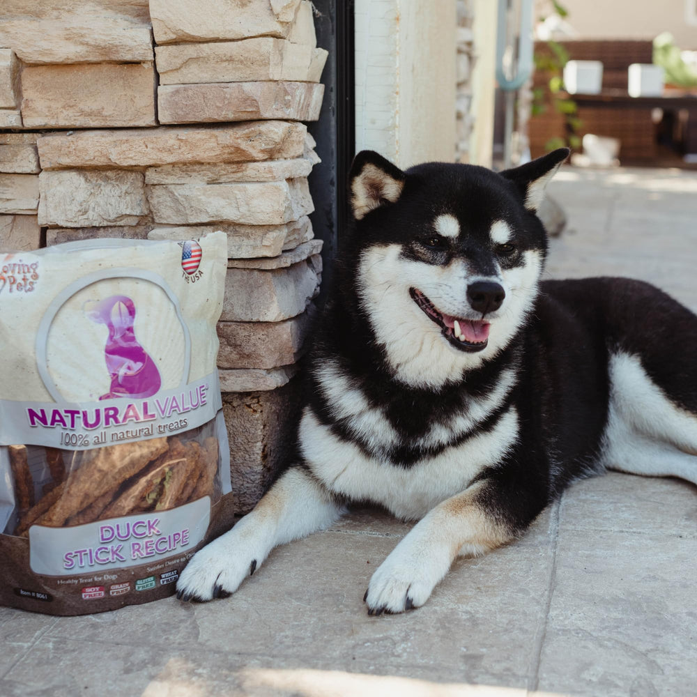 Loving Pets Natural Value Canard Bâton - usage entre les repas comme petite récompense savoureuse.