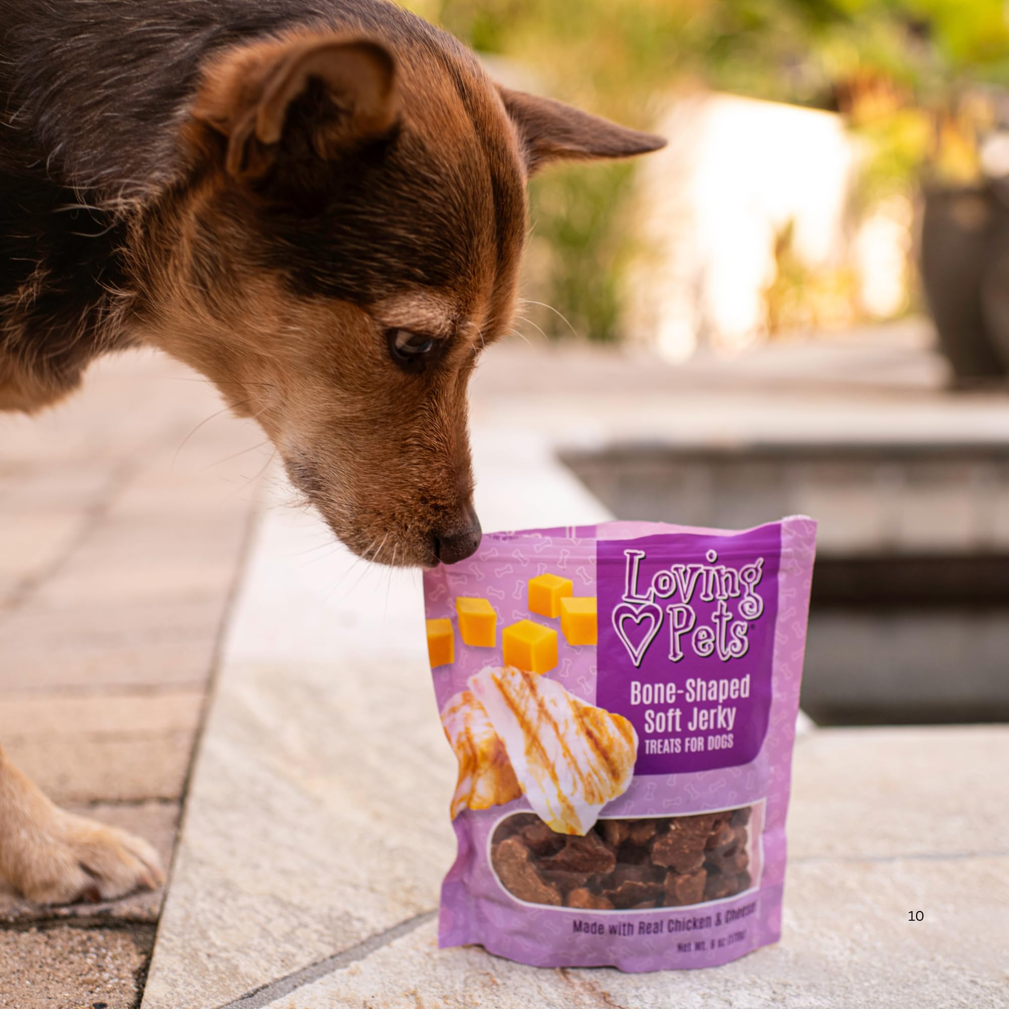 Fabrication aux États-Unis: Loving Pets Soft Jerky