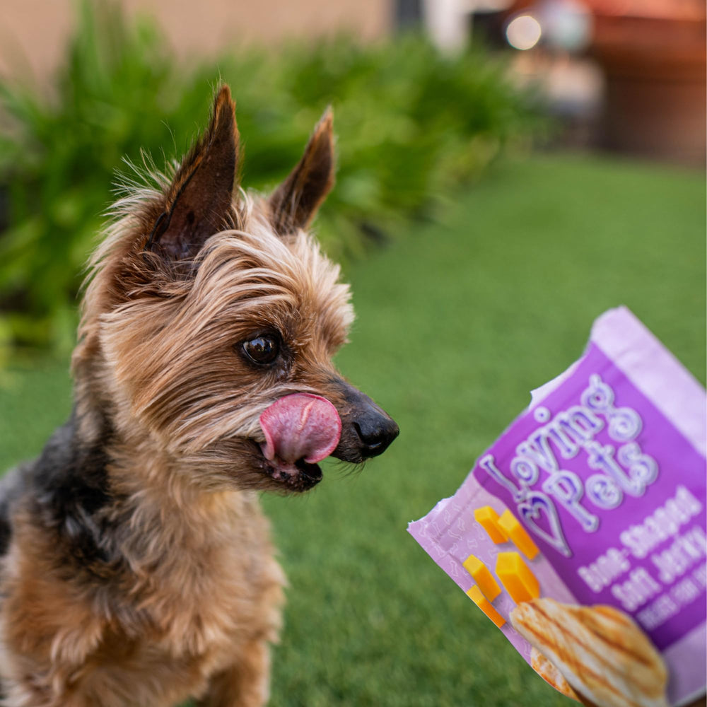Formes variées de Loving Pets Soft Jerky pour routines quotidiennes