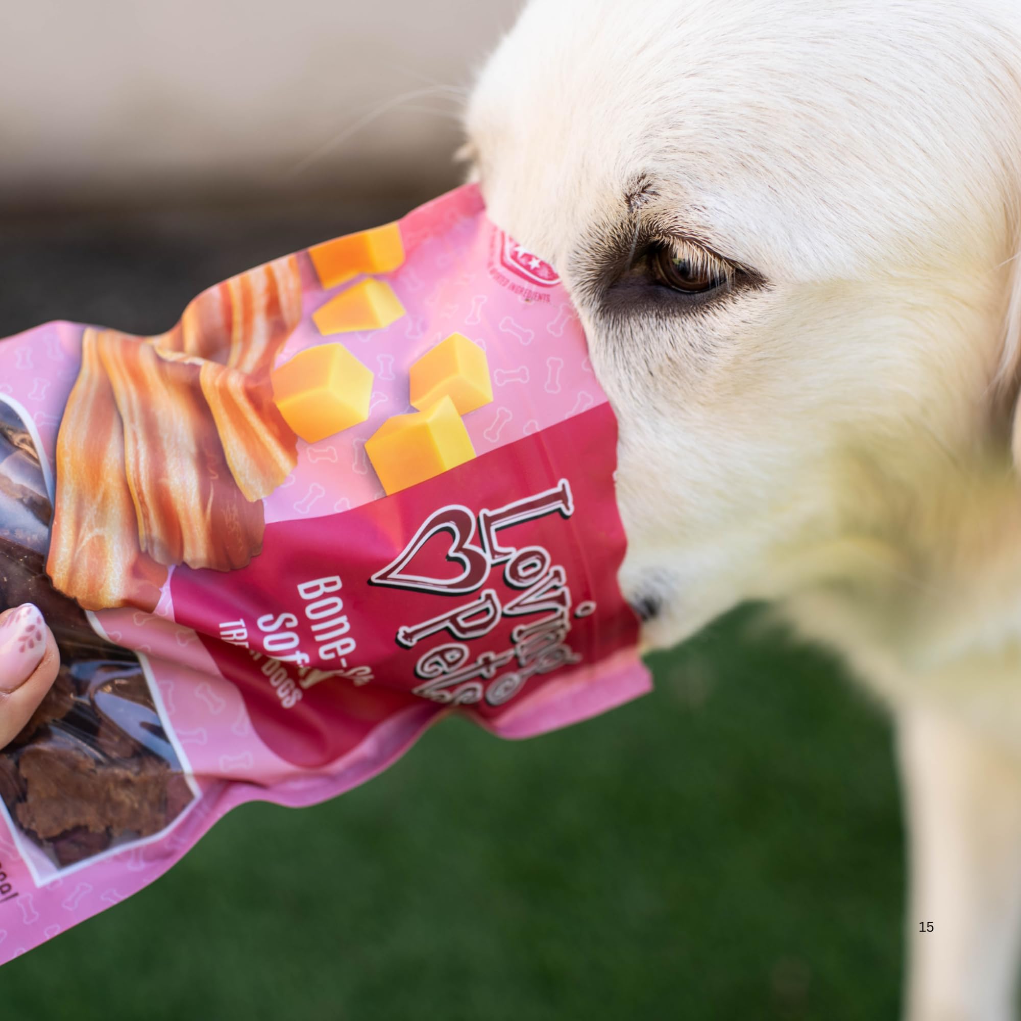 Loving Pets Soft Jerky formes os et batonnets – variété pour les routines quotidiennes