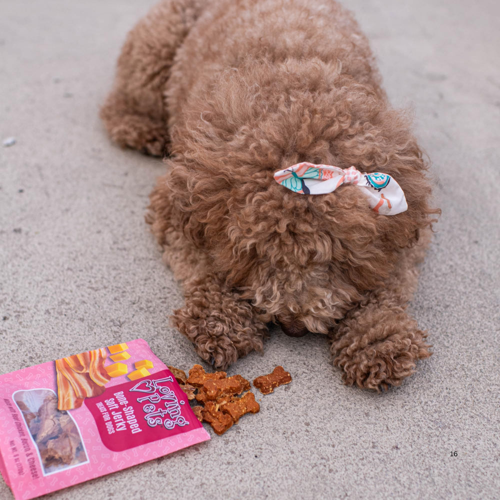 Loving Pets Soft Jerky ingrédients sans blé ni maïs – recette simple