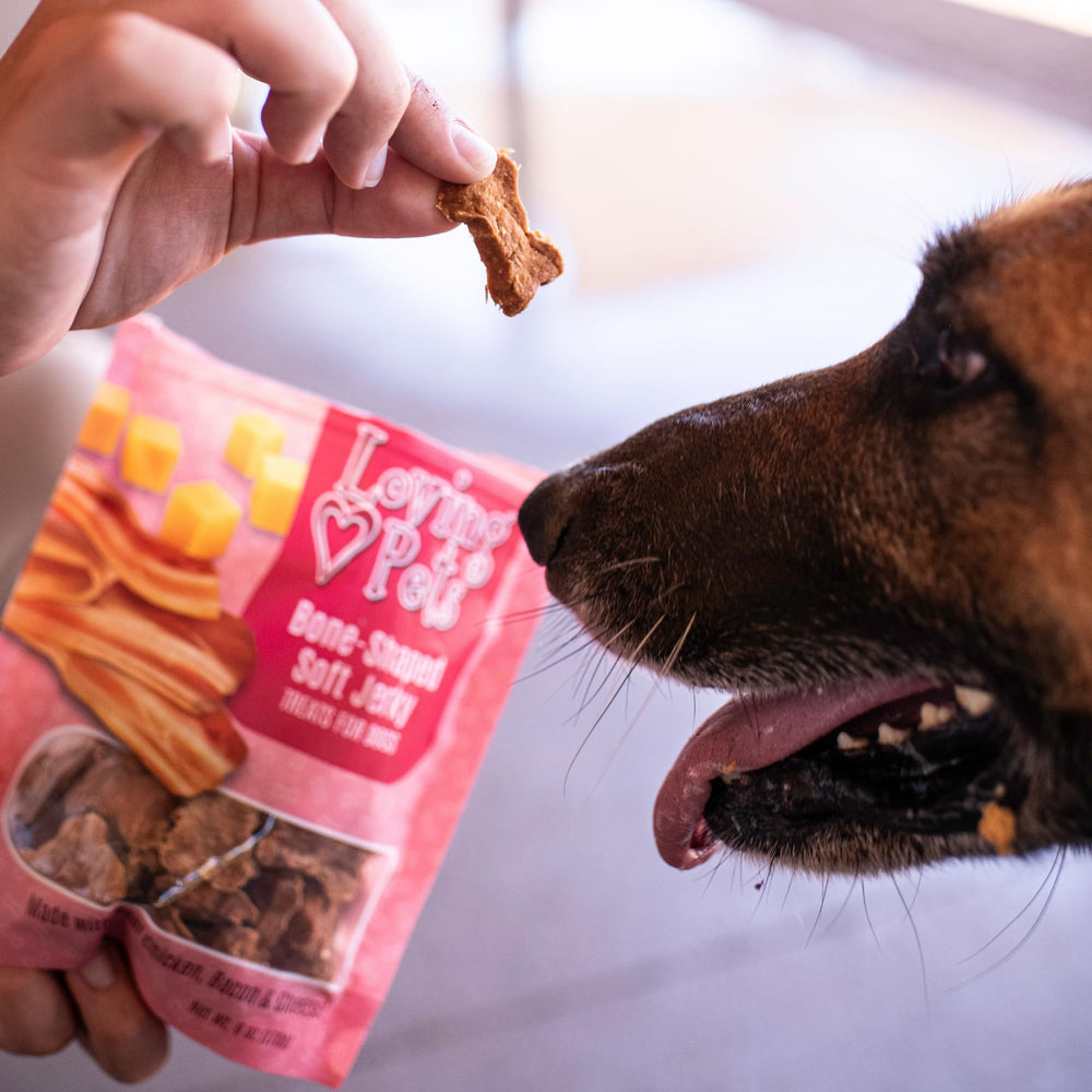 Loving Pets Soft Jerky origine États-Unis – viande réelle, saveur authentique