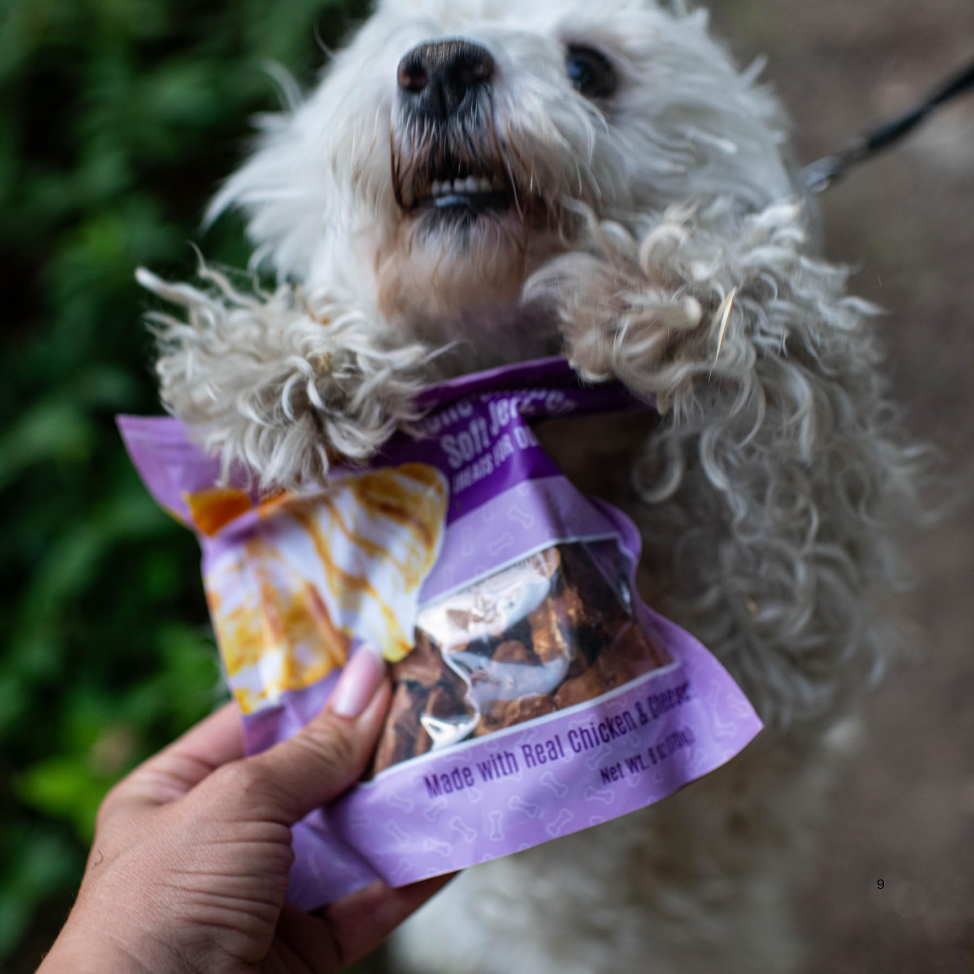 Récompense quotidienne avec Loving Pets Soft Jerky sans céréales
